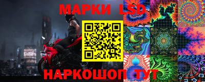гидропоника Пенза
