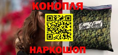 гидропоника Пенза