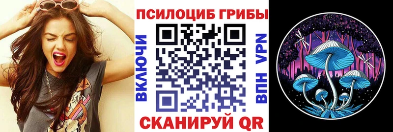 Псилоцибиновые грибы Psilocybe  Находка 