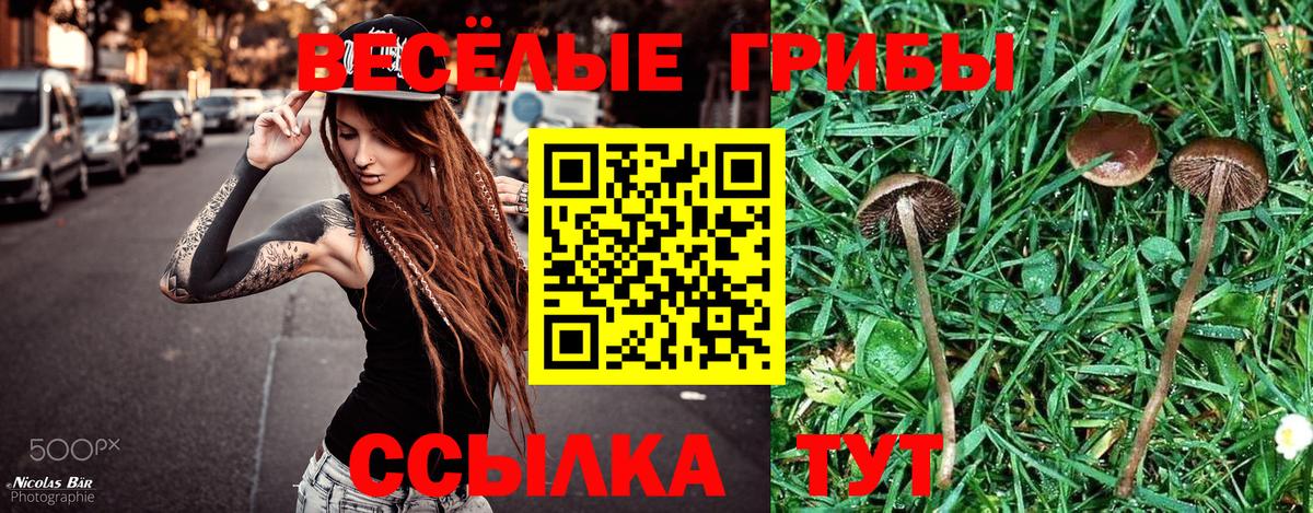 Псилоцибиновые грибы GOLDEN TEACHER  Вход с VPN  закладки  Находка  Псилоцибиновые грибы GOLDEN TEACHER 